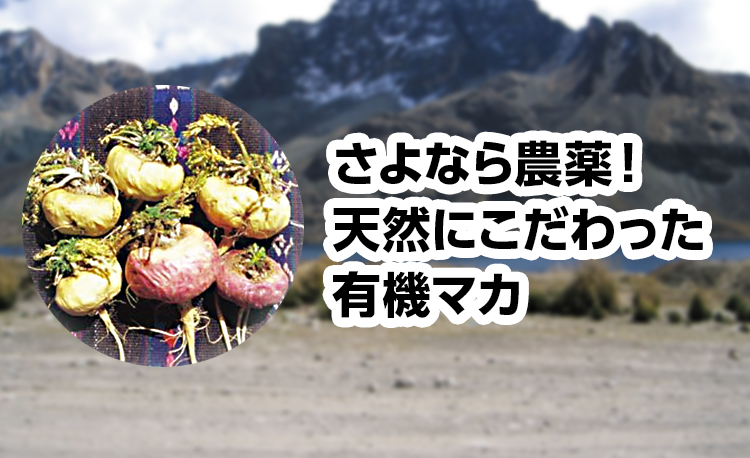 さよなら農薬!天然にこだわった有機マカ