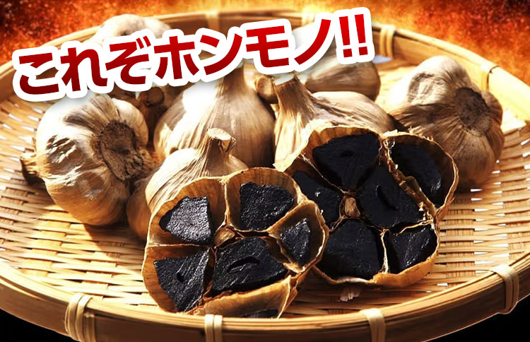 これぞホンモノ!